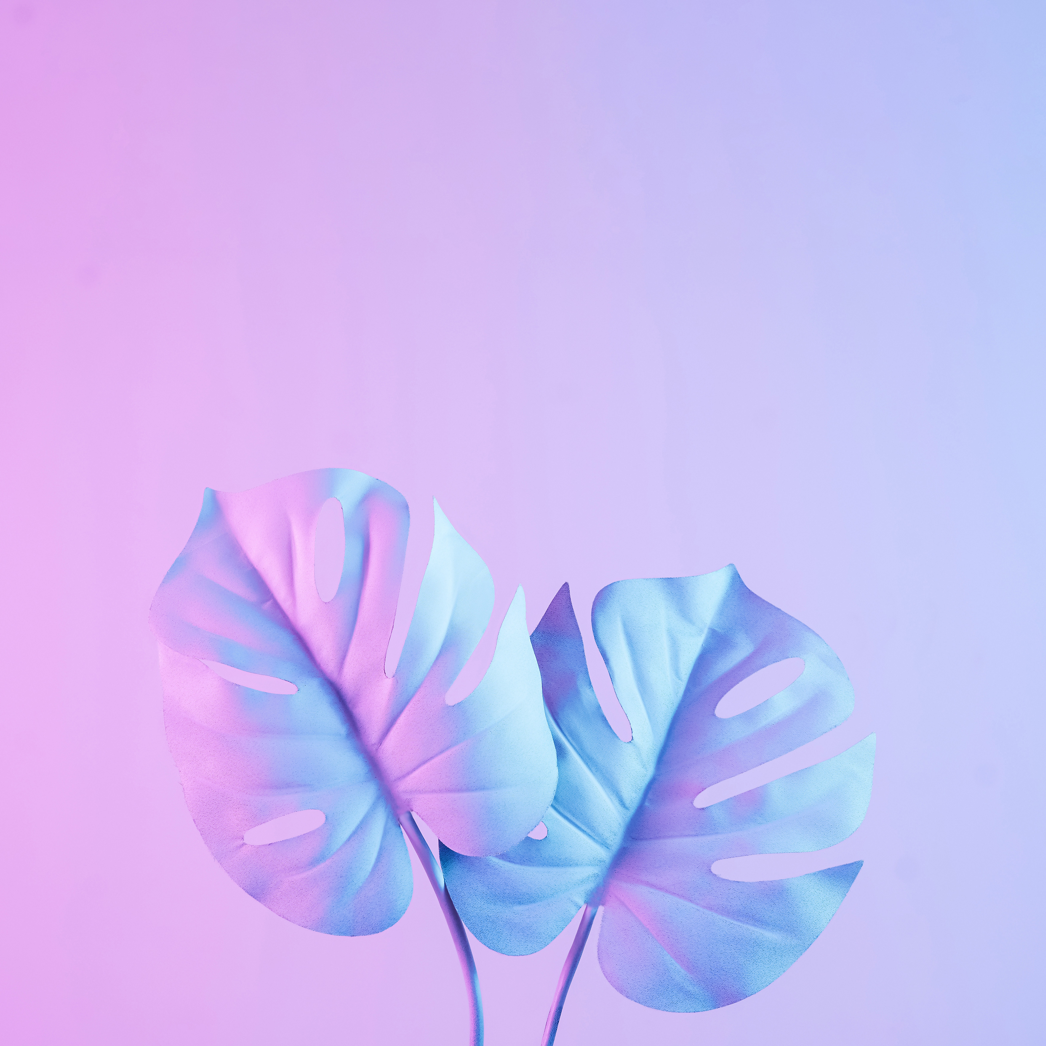 unnamed image